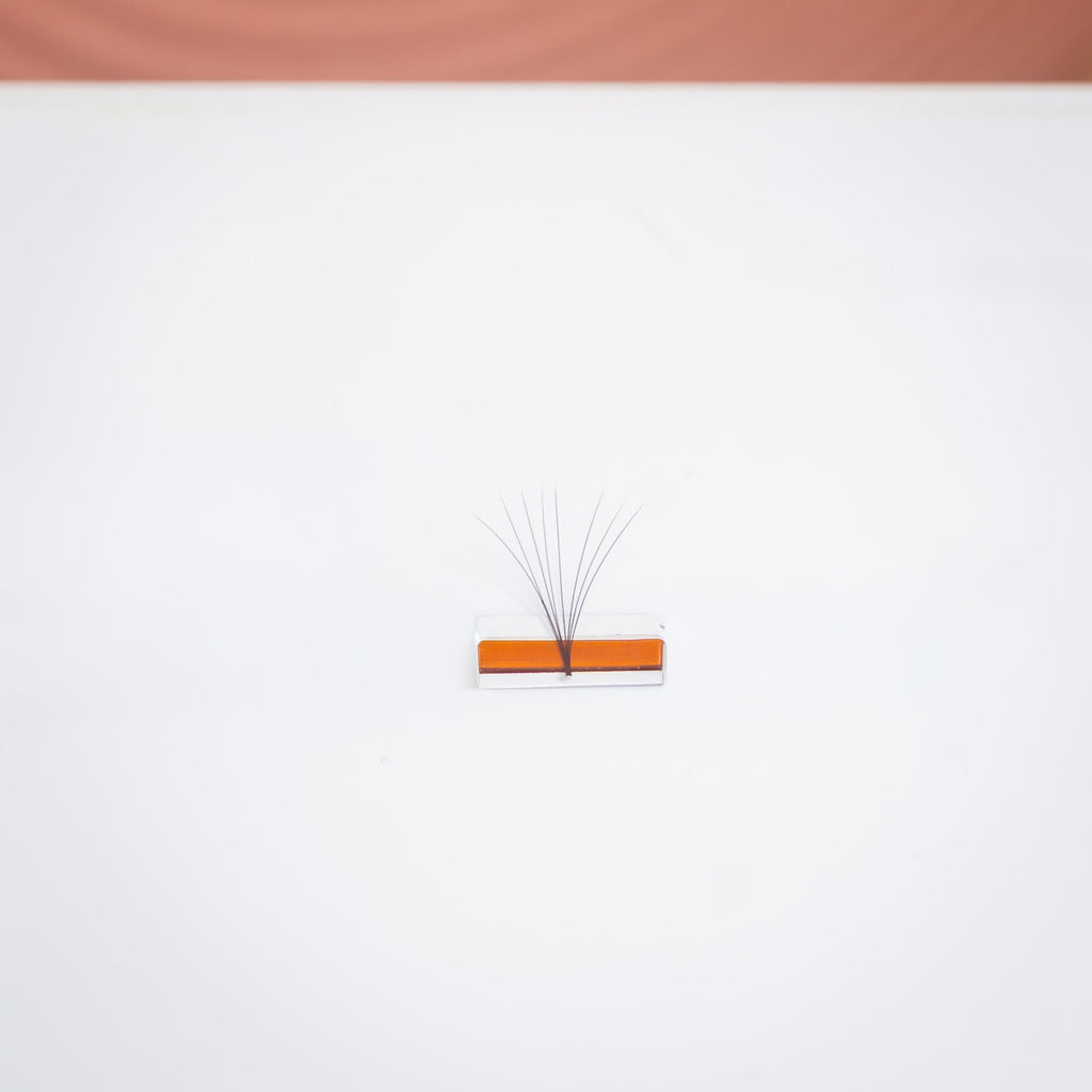 Cils Easy Fans 0.05 C — photo 3 — EsthyReine
