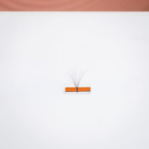 Cils Easy Fans 0.05 C — photo 3 — EsthyReine