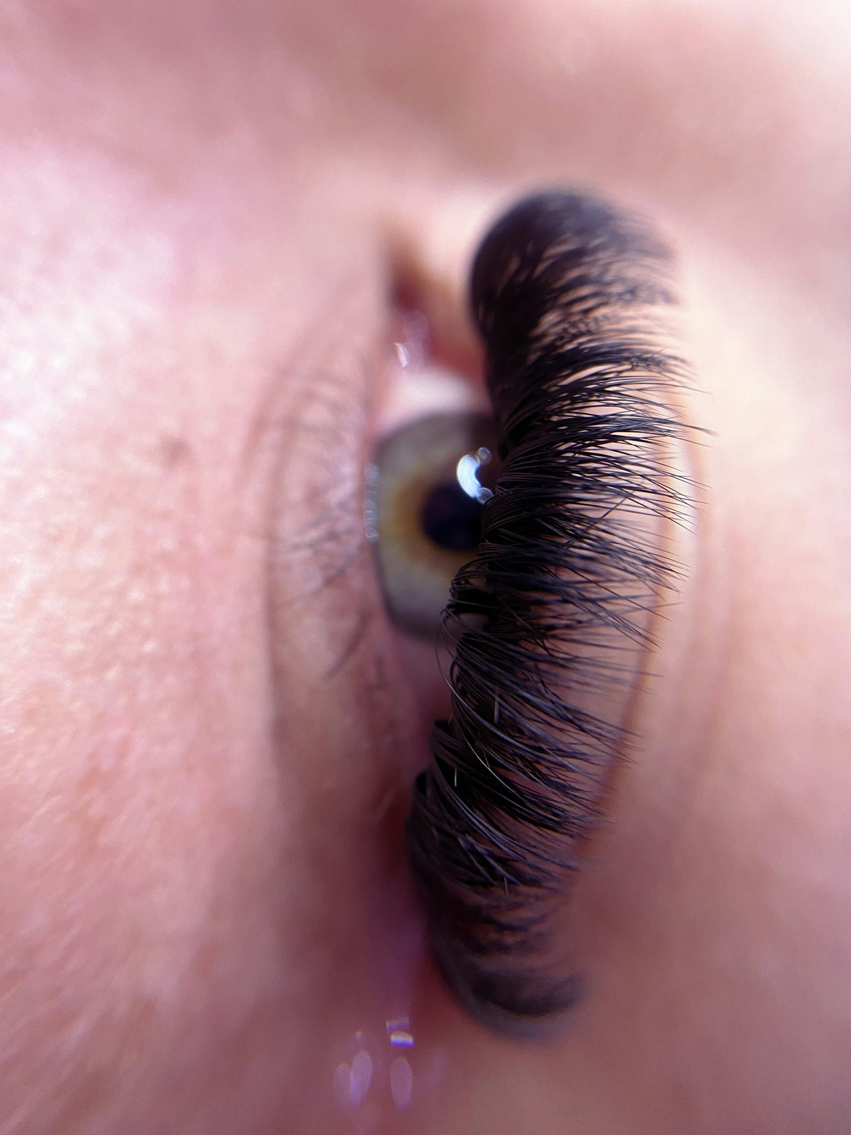 Gros plan sur des cils longs et recourbés (photo d'ambiance)